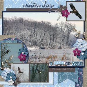 Wintering Eagles