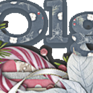Winter Siggy