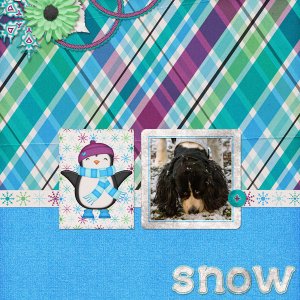 Snowy Morning