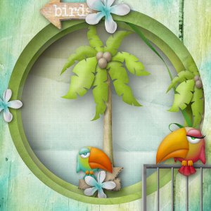 Birds