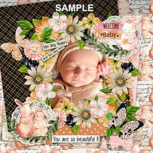 Baby Story