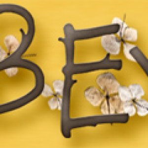 Feb Love Siggy