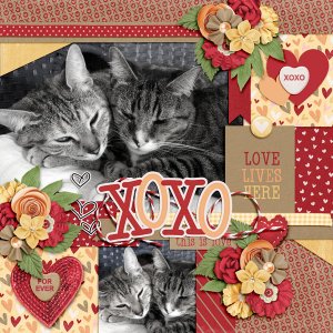XOXO