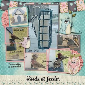 Birdies