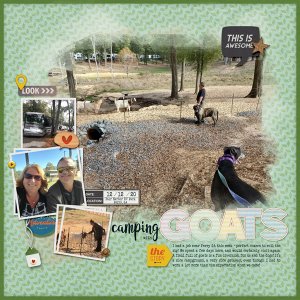 Camping with goats
