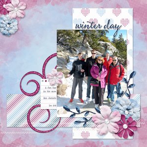 Vacation in the Snow