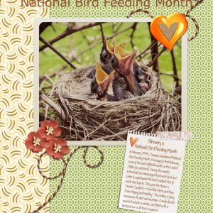 National Bird Feeding Month