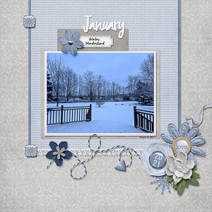 Winter Wonderland in January of 2021