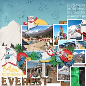 everest views