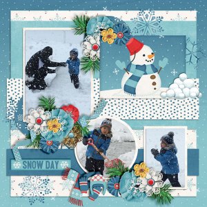 A-Snow-Day