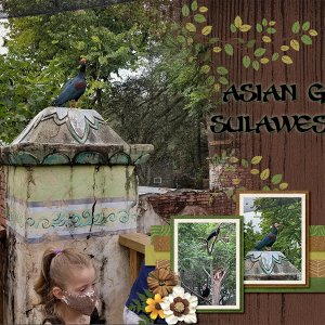 Tampa Zoo Aviary