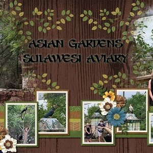 Tampa Zoo Aviary