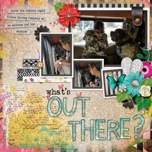 Whats out there
