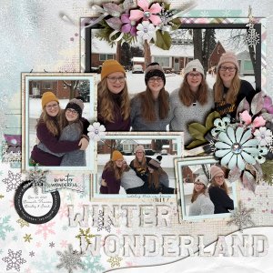 Winter Wonderland