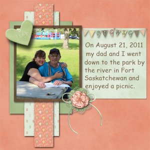 DDD Scrap choice Feb 2021