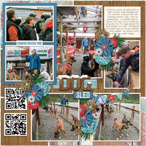 Dog Sledding Alaska Style