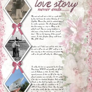 A True Love Story