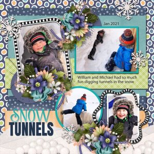 Snow Tunnels