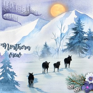 600-adbdesigns-nordic-nights-pia-01