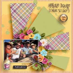 GS Recipe Feb 2021