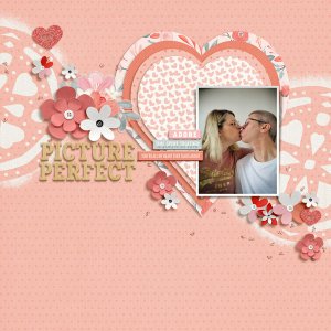 Picture Perfect