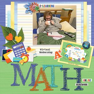 Math Online Homework