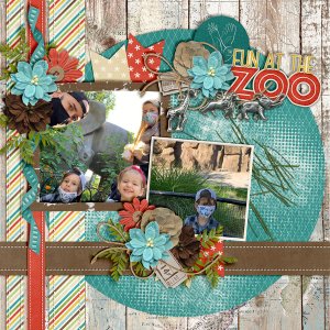 Fun-At-The-Zoo