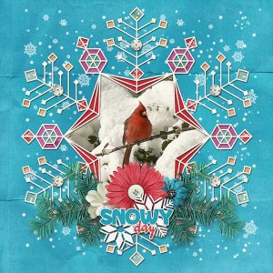 Snowy Day