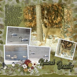 swans and deer