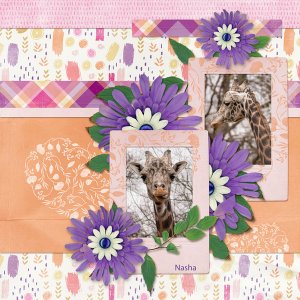 Nasha