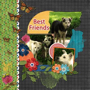 Best Friends