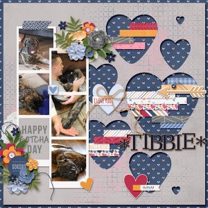 Loving on Tibbie