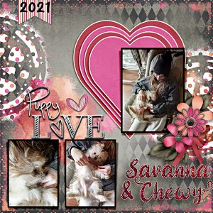 Savanna's Puppy Love