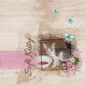 Soft Kitty