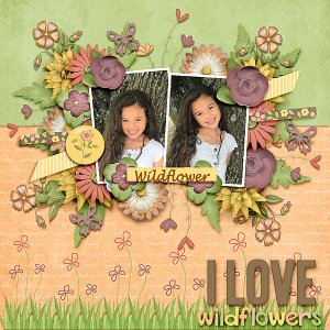 I Love Wildflowers
