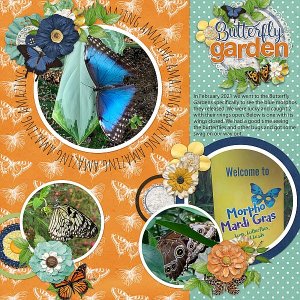 Butterfly Garden
