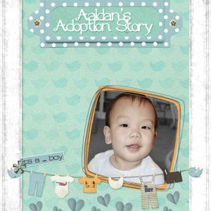 Aaidan'sStoryLifeBookCover