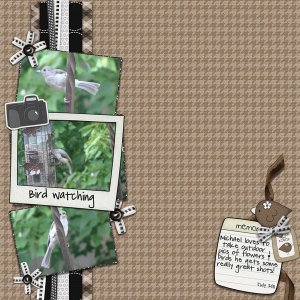 Bird Watching