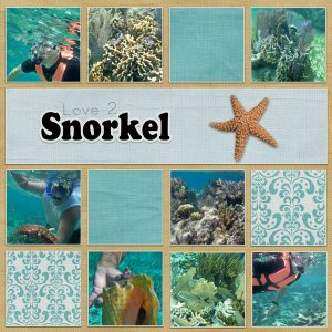 Love 2 Snorkel