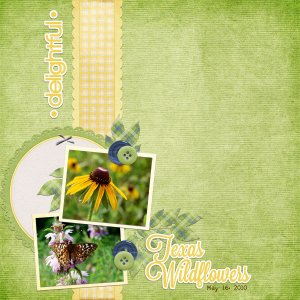 Delightful Texas Wildflowers
