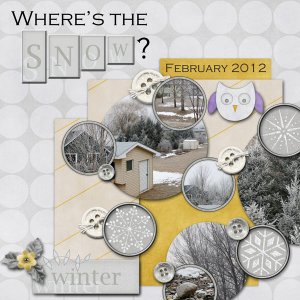 Where's the Snow?