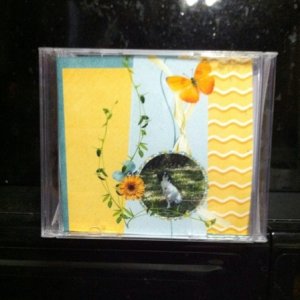 Recycled CD case
