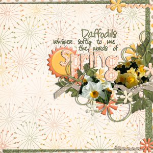 daffodils