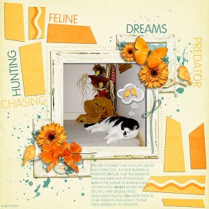 SnS-FelineDreams