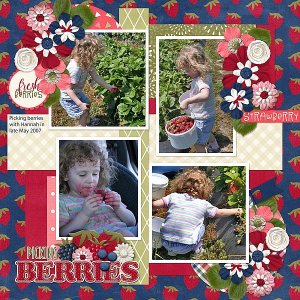 Picking Berries