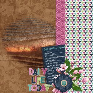 02-Life-chronicled