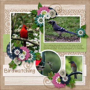 Birdwatching