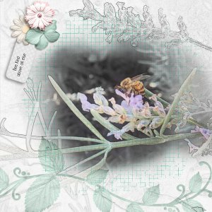 Bee Kind