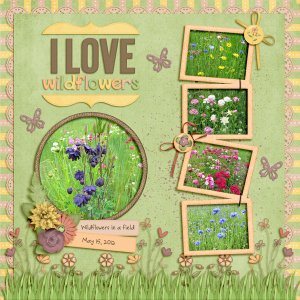I Love Wildflowers