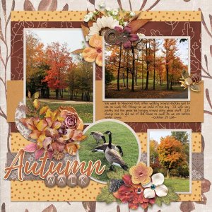 Autumn Walk